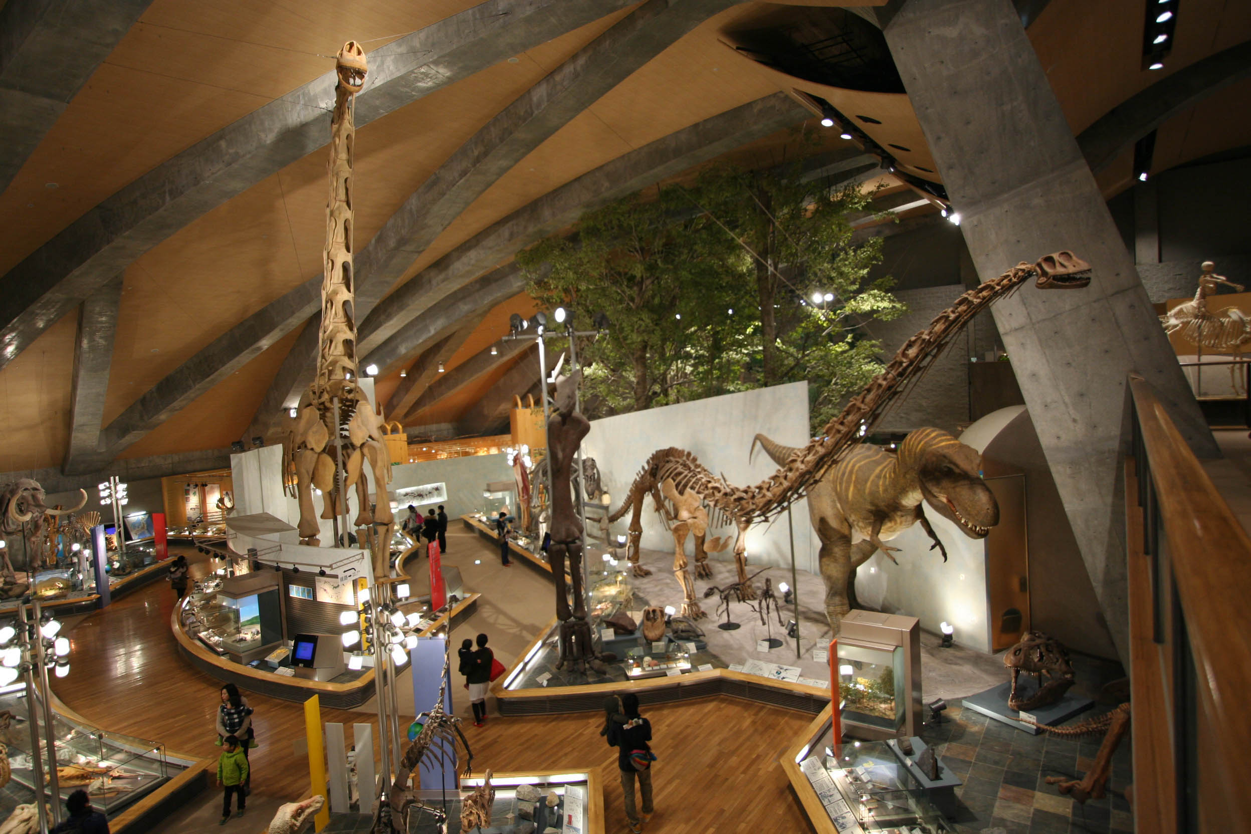 群馬県立自然史博物館の常設展示室：『ググっとぐんま写真館』から転載