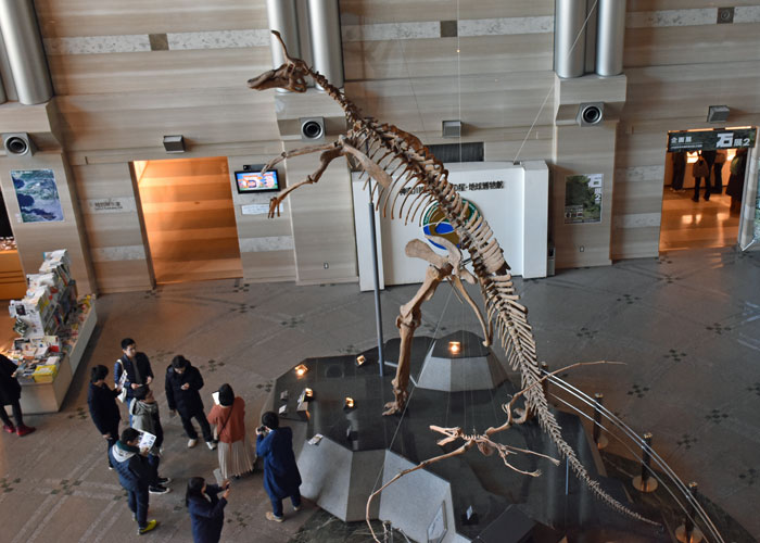 チンタオサウルス